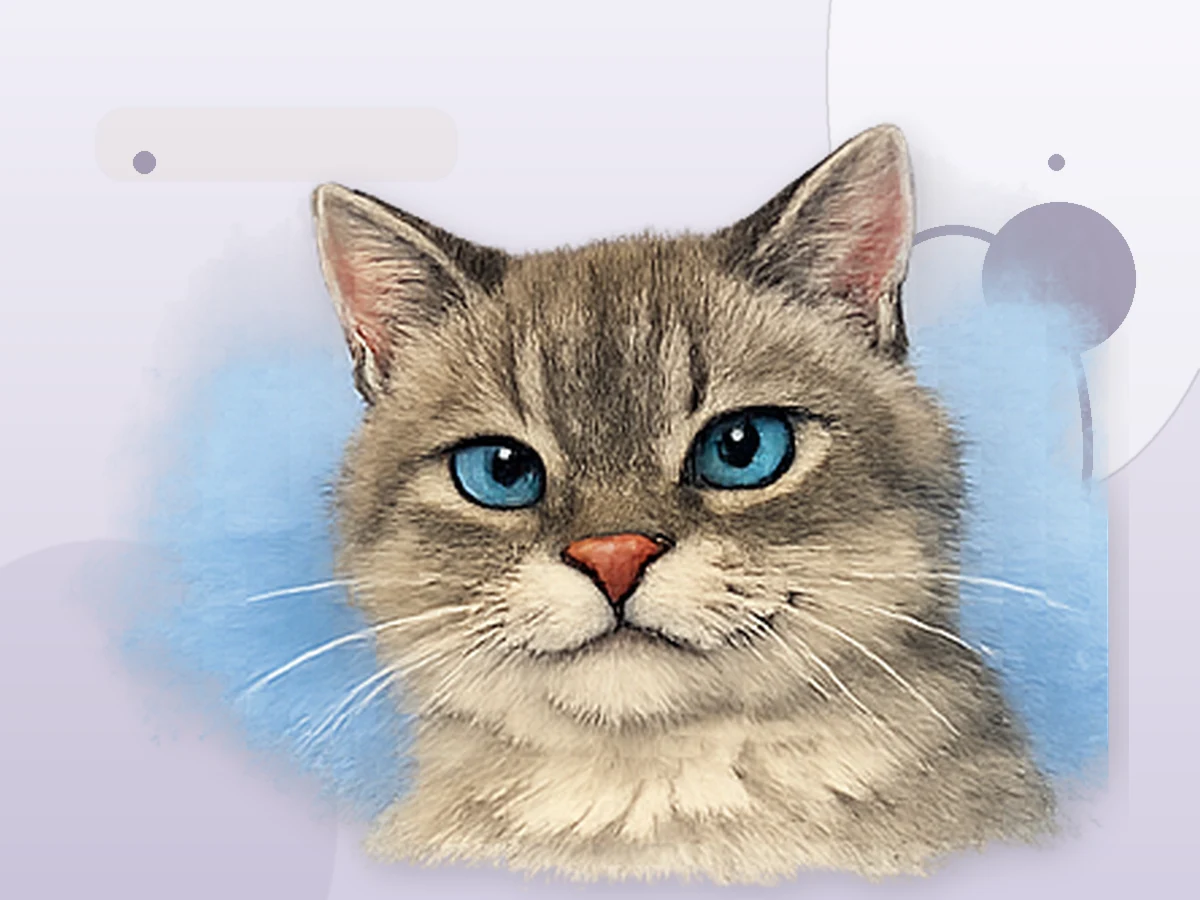 Ghost anticipe les besoins budgétaires d’un chat senior