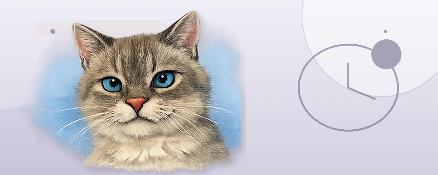 Ghost anticipe les besoins budgétaires d’un chat senior